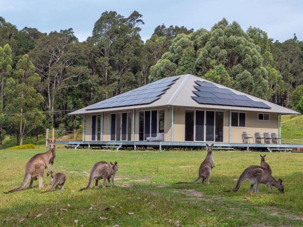 Tanja Lagoon Camp 外观 照片